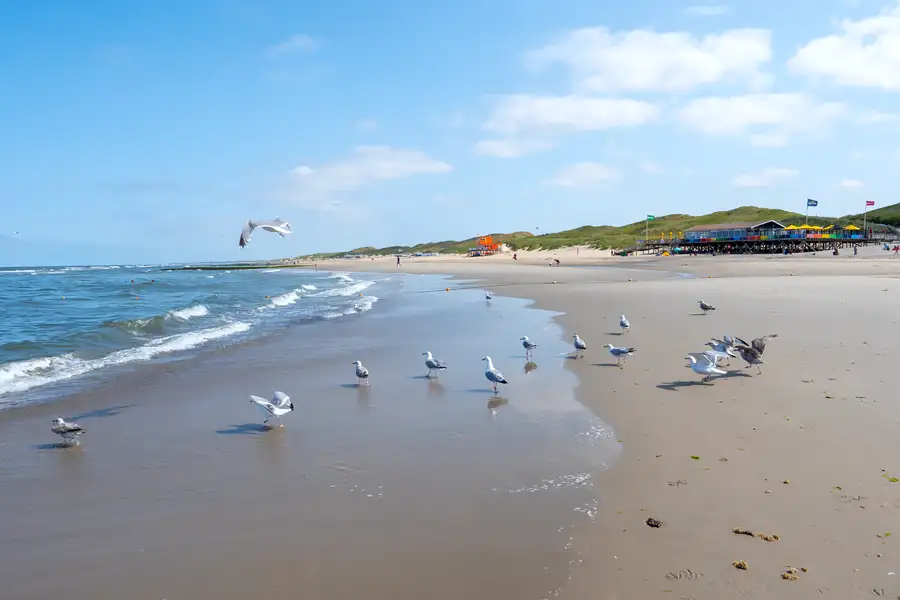 Strand Callantsoog